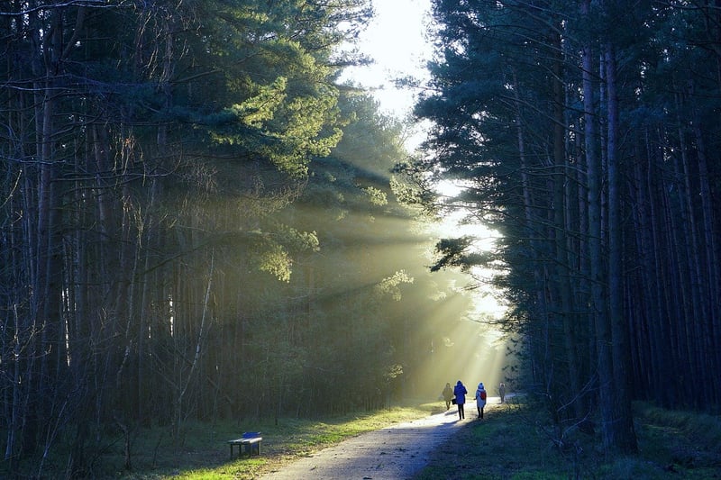 Nature Stroll